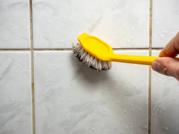 Best DIY Mold Remediation Support Services in Alvord, TX